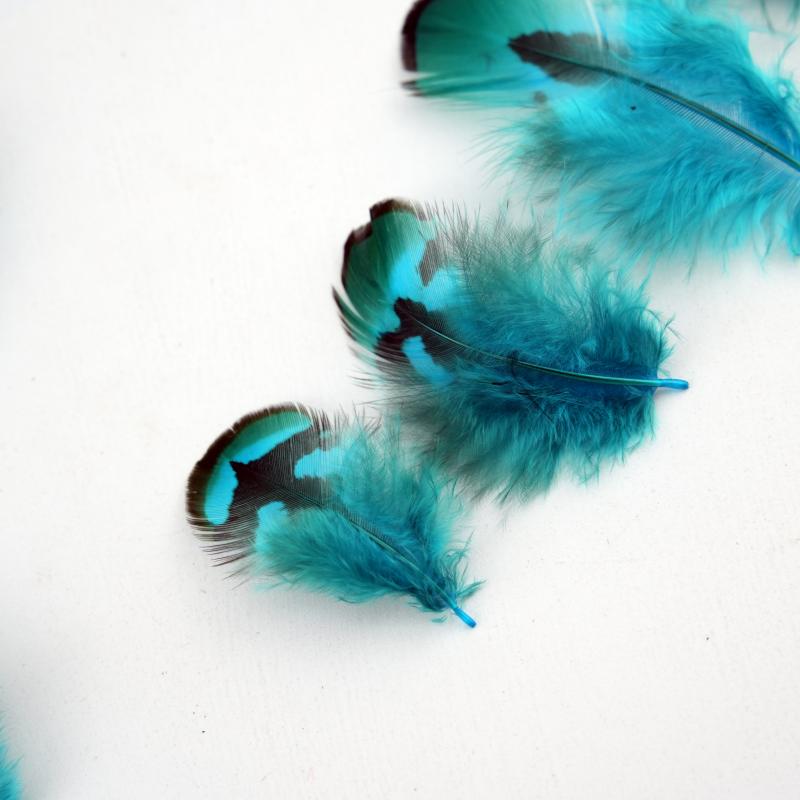 Natural DIY Pheasant Feathers  - Wedding Supply In Bulk recension och pris