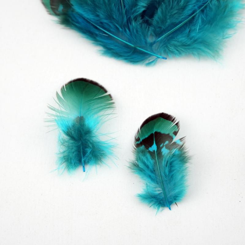 Natural DIY Pheasant Feathers  - Wedding Supply In Bulk recension och pris
