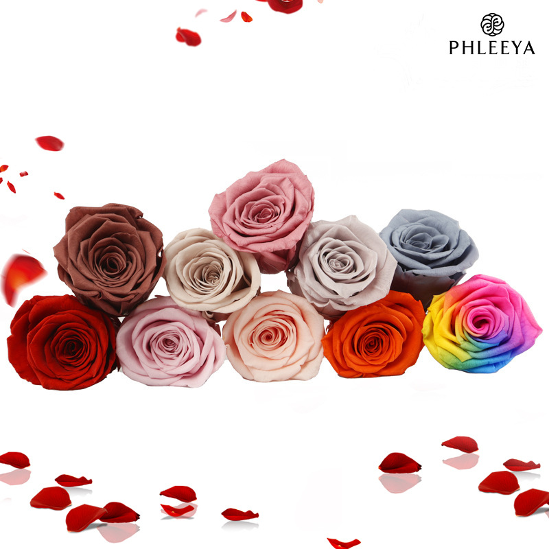 6pcs Eternal Rose Flower Heads - Wedding Supply In Bulk recension och pris